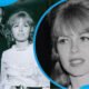 The Real Story of Suzanne Hahn: John Astin’s Ex-Wife You Never Knew